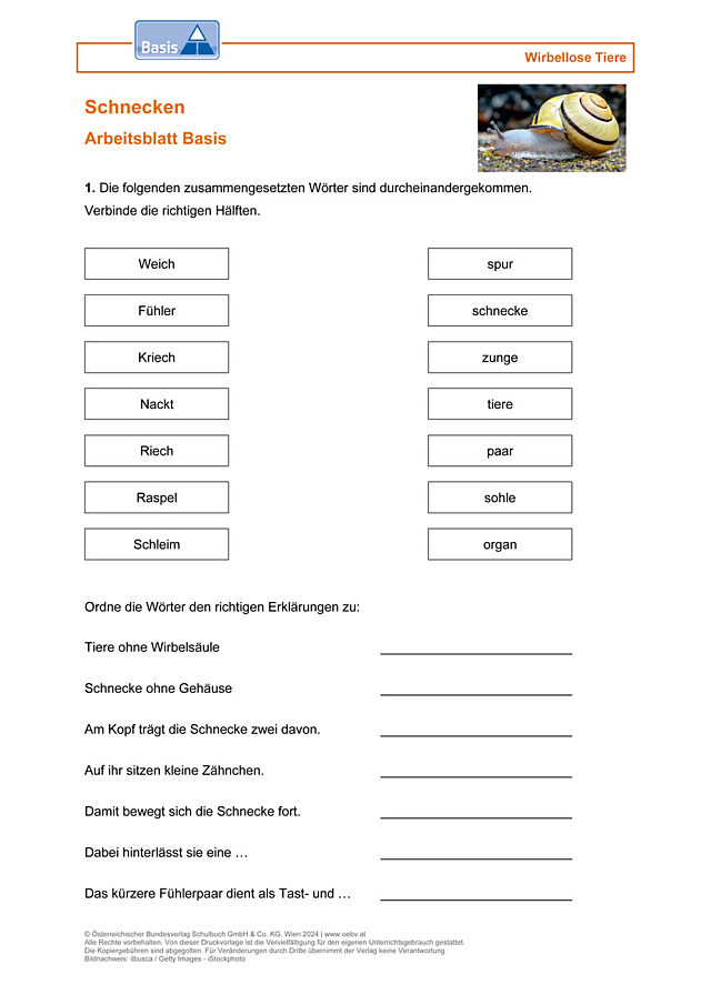 Schnecken