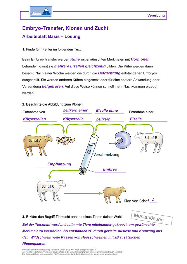 Embryo-Transfer, Klonen und Zucht