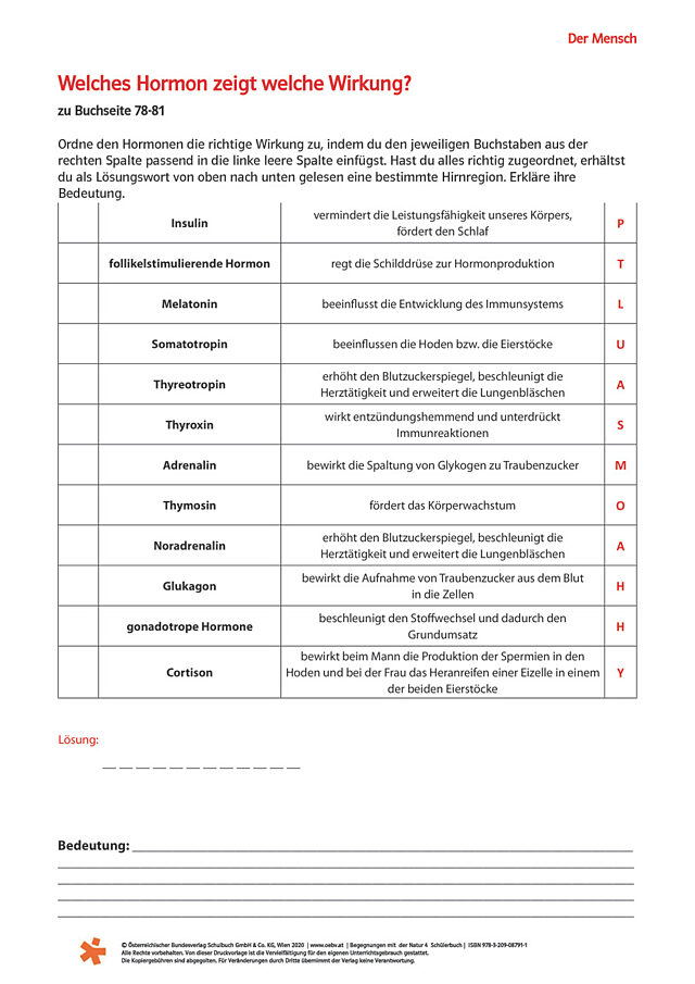 Welches Hormon zeigt welche Wirkung?