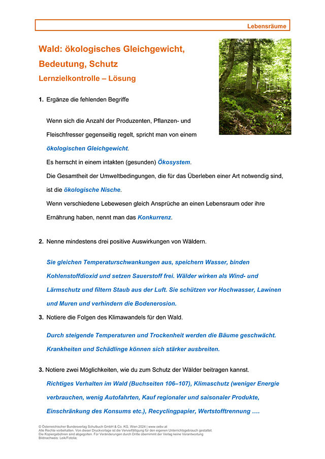 Lebensraum, Wald