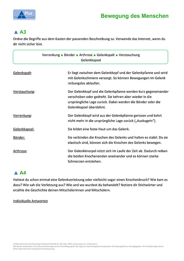 Gelenke