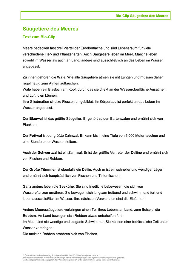 Meeressäuger Transkription