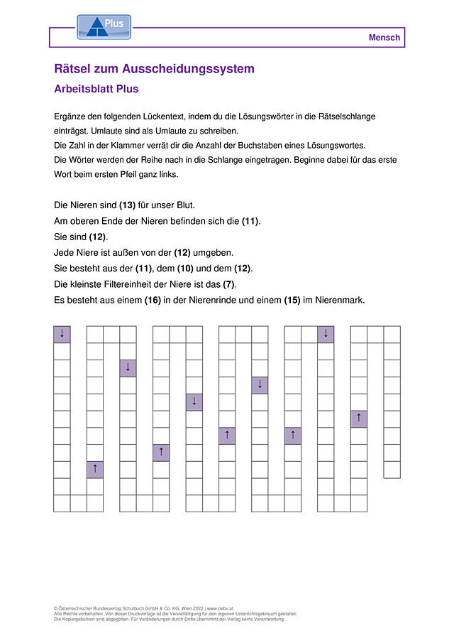 Rätsel zum Ausscheidungssystem