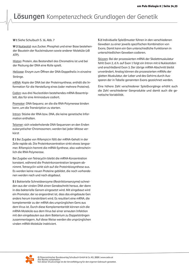 Grundlagen der Genetik
