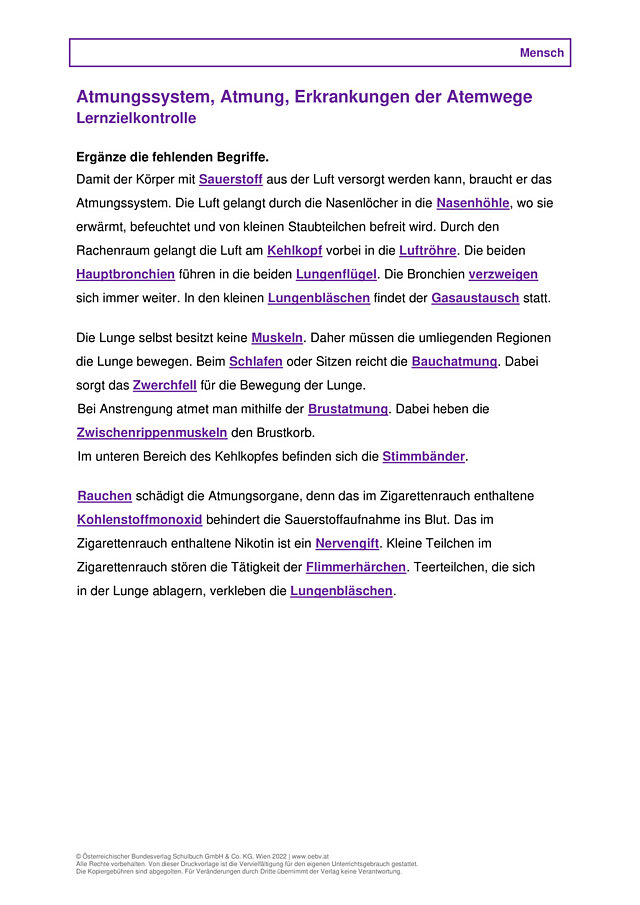 Atmungssystem, Atmung, Erkrankungen der Atemwege