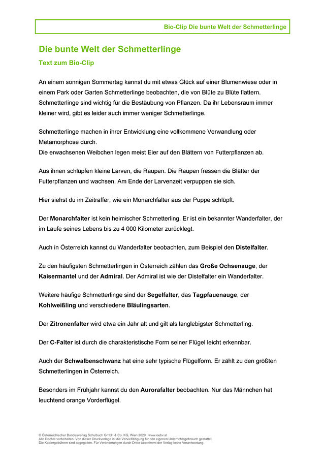 Die bunte Welt der Schmetterlinge Transkript