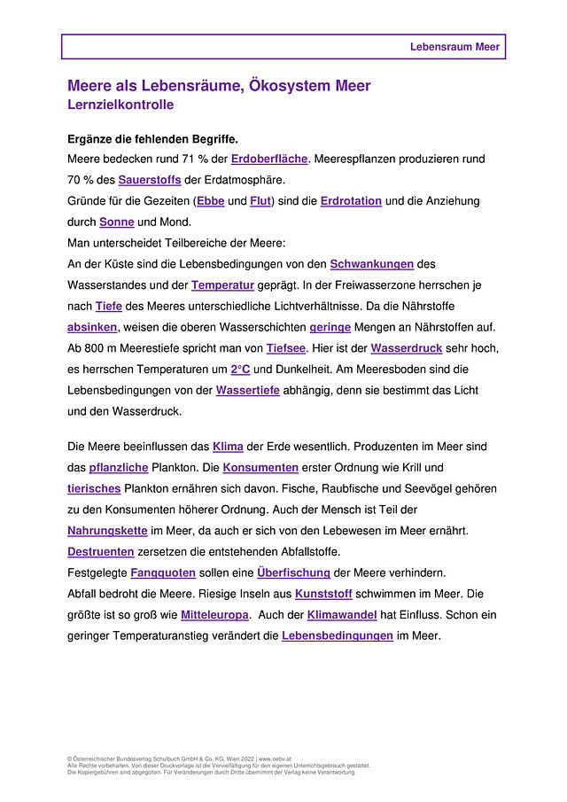 Meere als Lebensräume, Ökosystem Meer