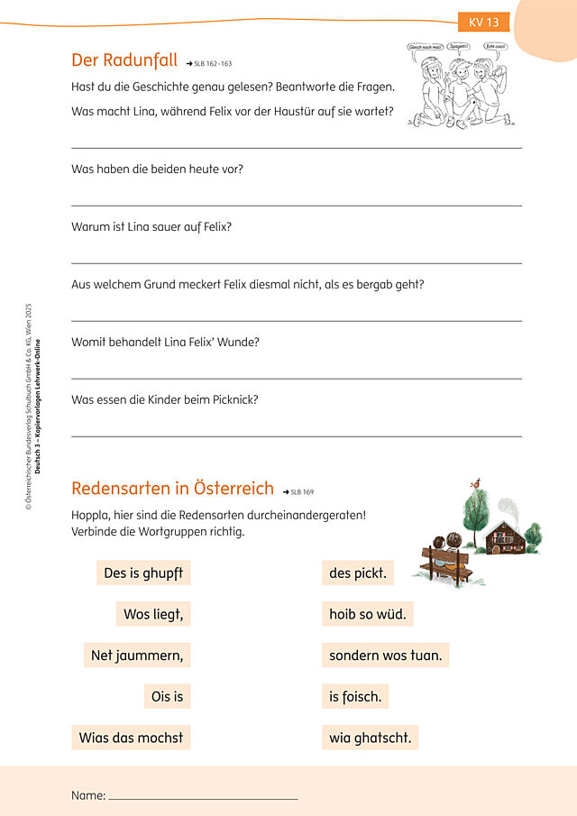 Der Radunfall, Redensarten in Österreich