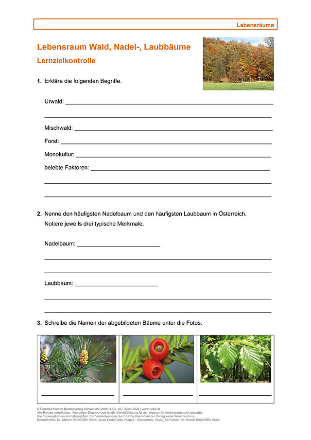 Lebensraum, Wald, Nadel-, Laubbäume