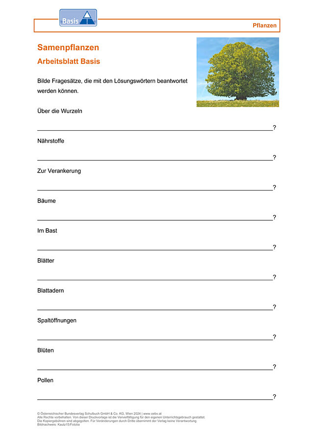 Samenpflanzen