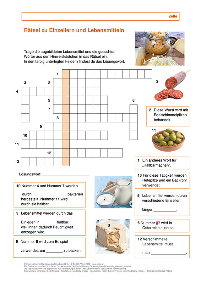 Einzeller und Lebensmittel
