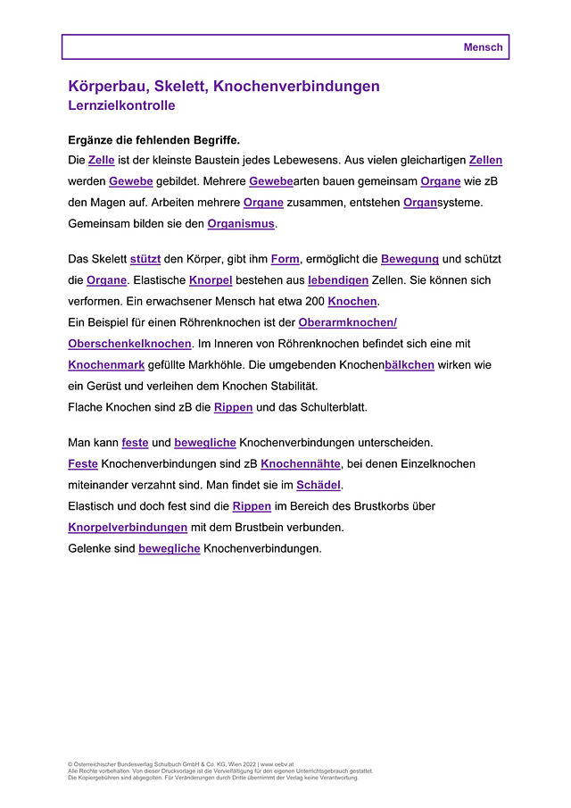 Körperbau, Skelett, Knochenverbindungen