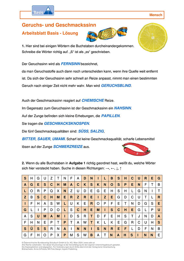 Geruchs- und Geschmackssinn