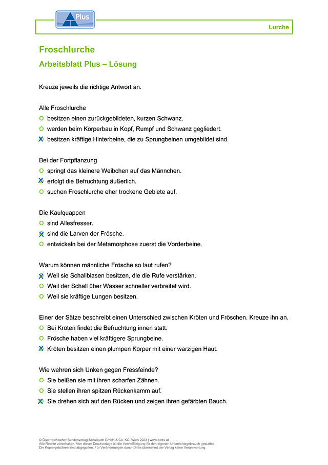 Froschlurche