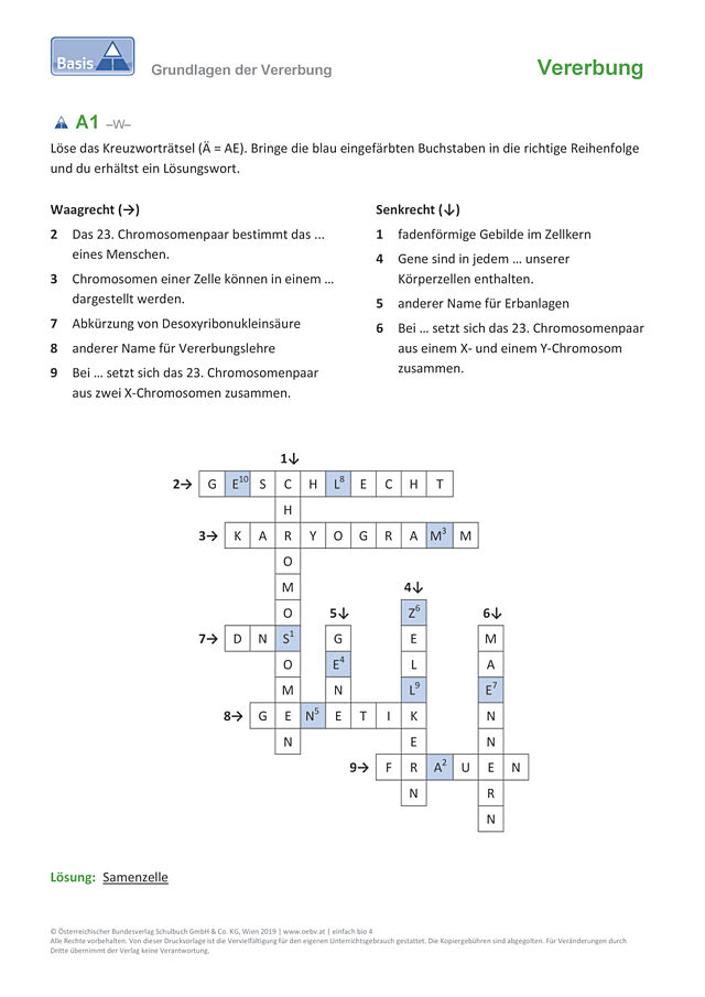 Arbeitsblatt Basis (PDF) - Lösung
