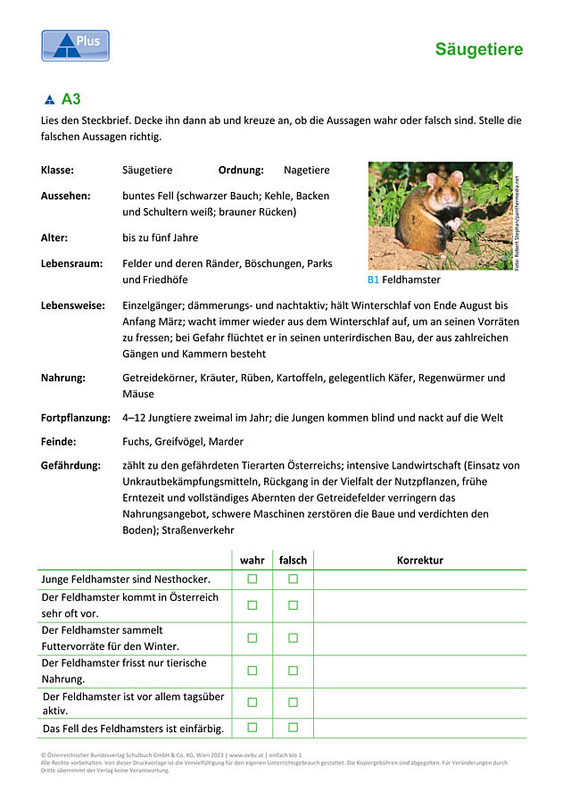 Nagetiere