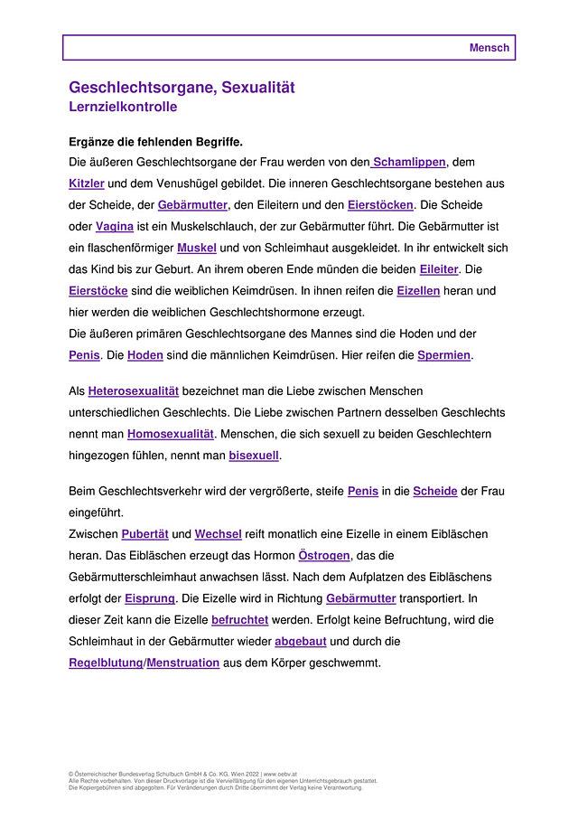 Geschlechtsorgane, Sexualität