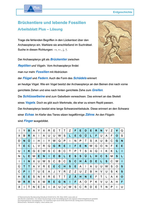 Brückentiere und lebende Fossilien