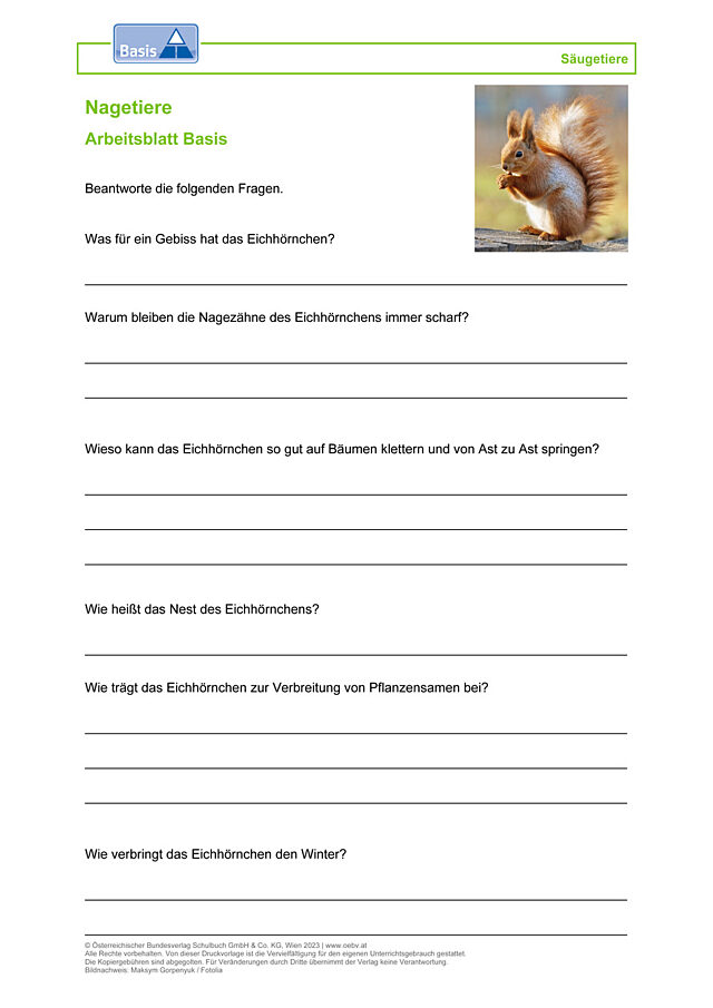 Nagetiere
