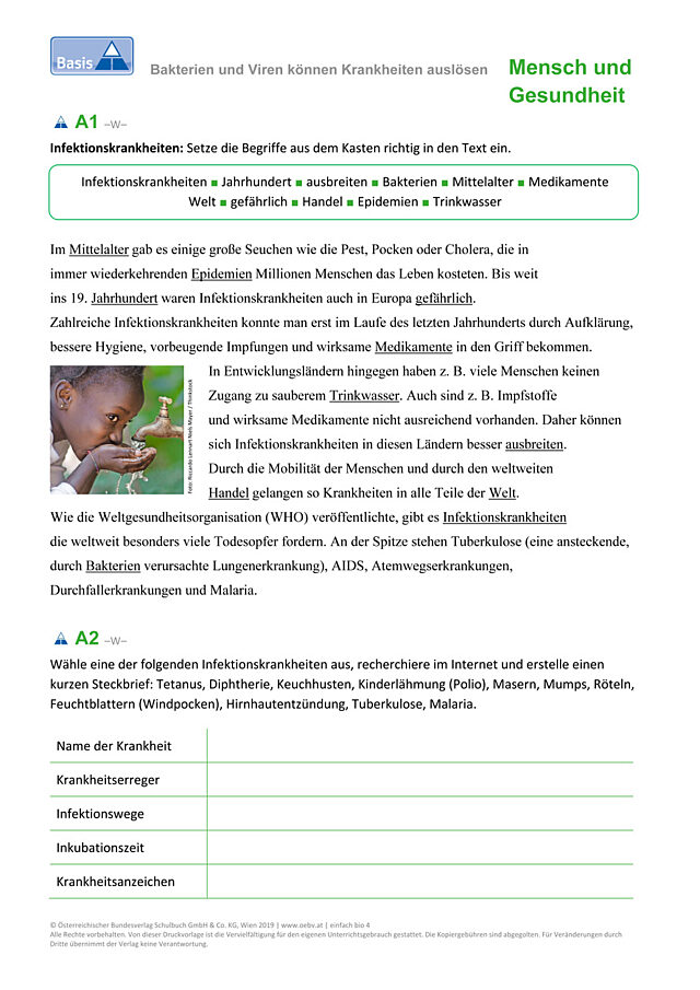 Bakterien und Viren