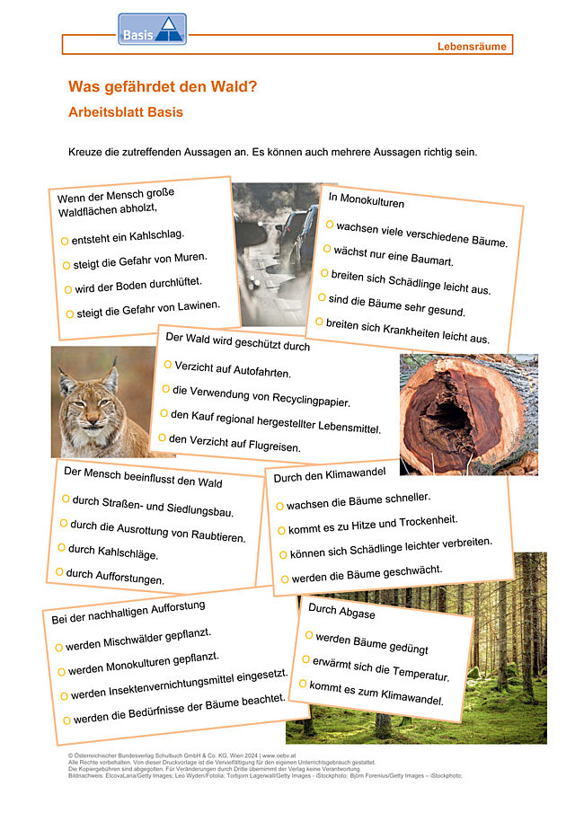 Waldgefährdung
