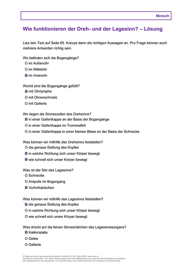 Wie funktionieren der Dreh- und der Lagesinn?