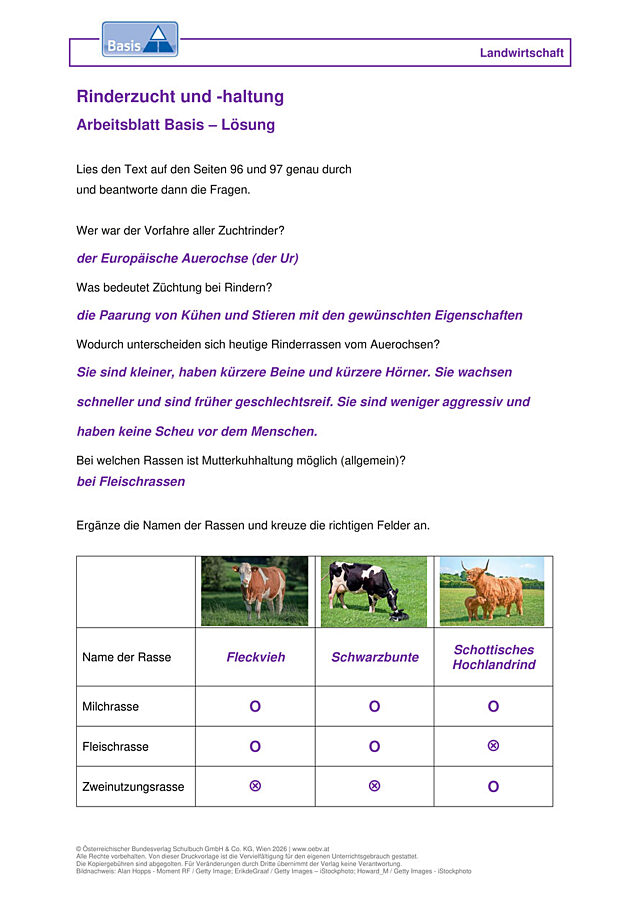 Rinderzucht und -haltung