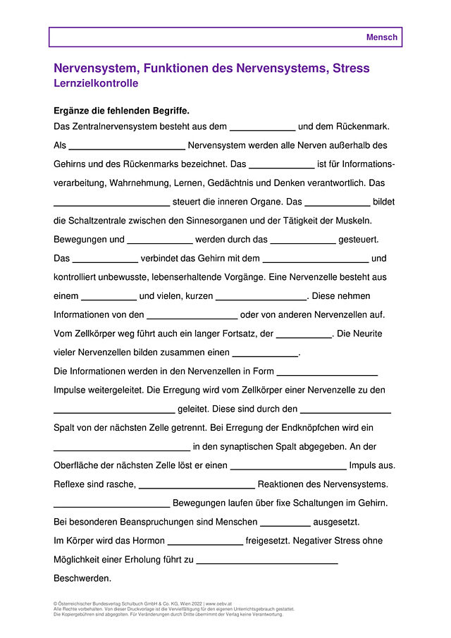 Nervensystem, Funktionen des Nervensystems, Stress und Erkrankungen des Nervensystems