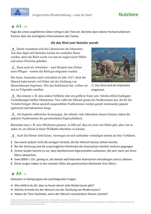 Rinderhaltung