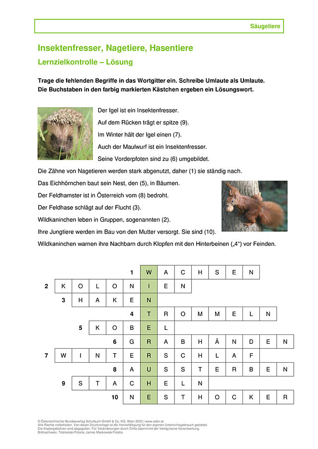 Insektenfresser, Nagetiere, Hasentiere