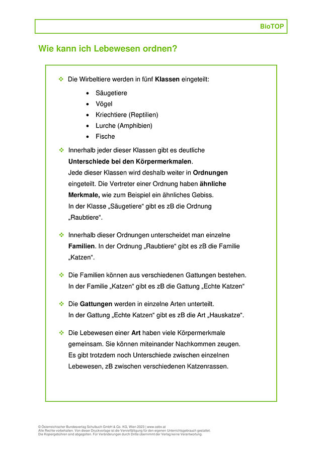 Methode: Lebewesen ordnen