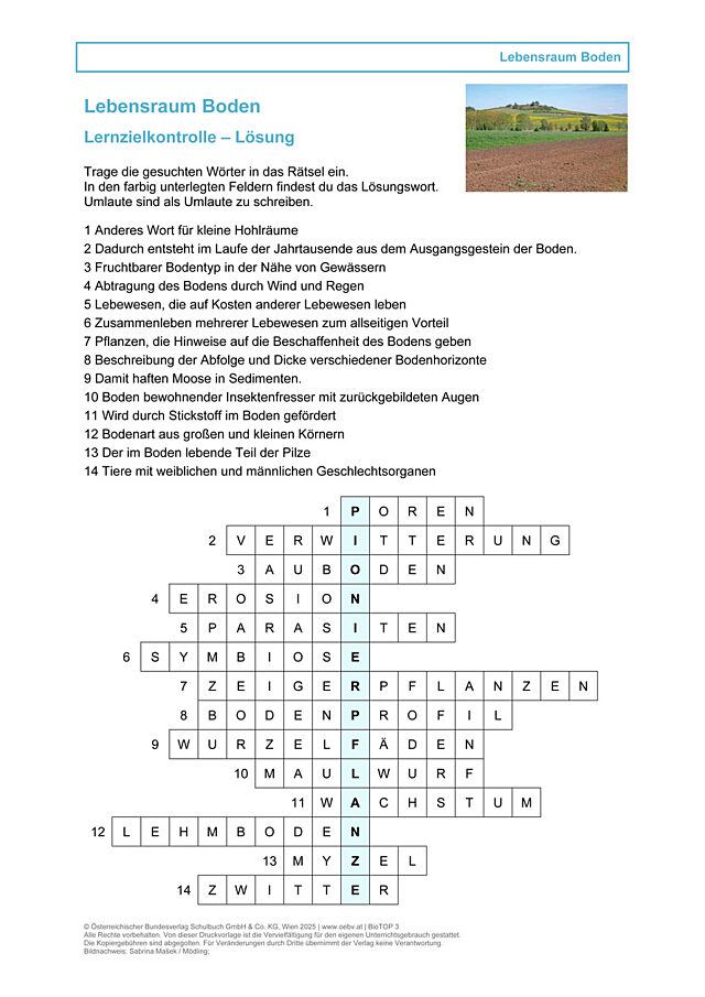 Lebensraum Boden
