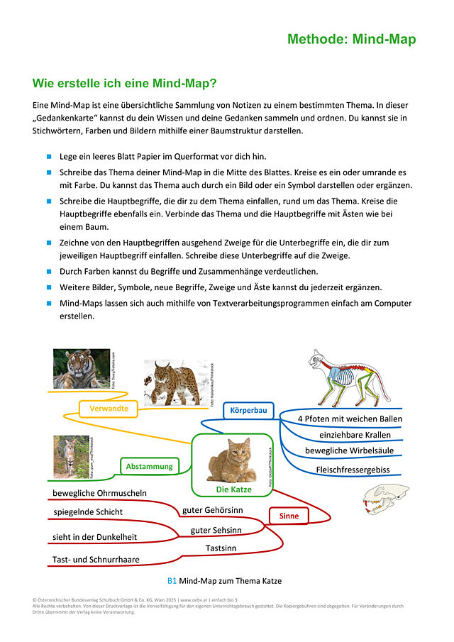Methode: Mind-Map