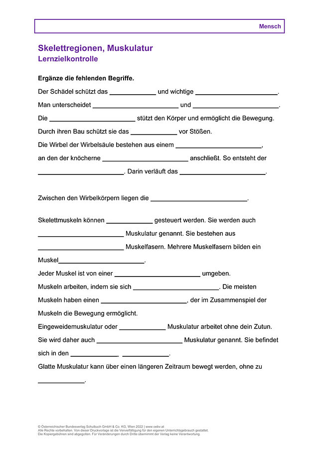 Skelettregionen, Muskulatur