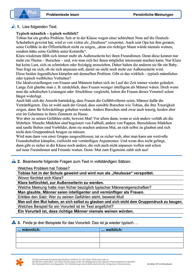 Problemtexte lesen