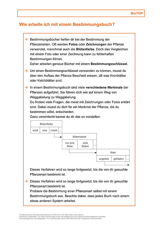 Wie arbeite ich mit einem Bestimmungsbuch?