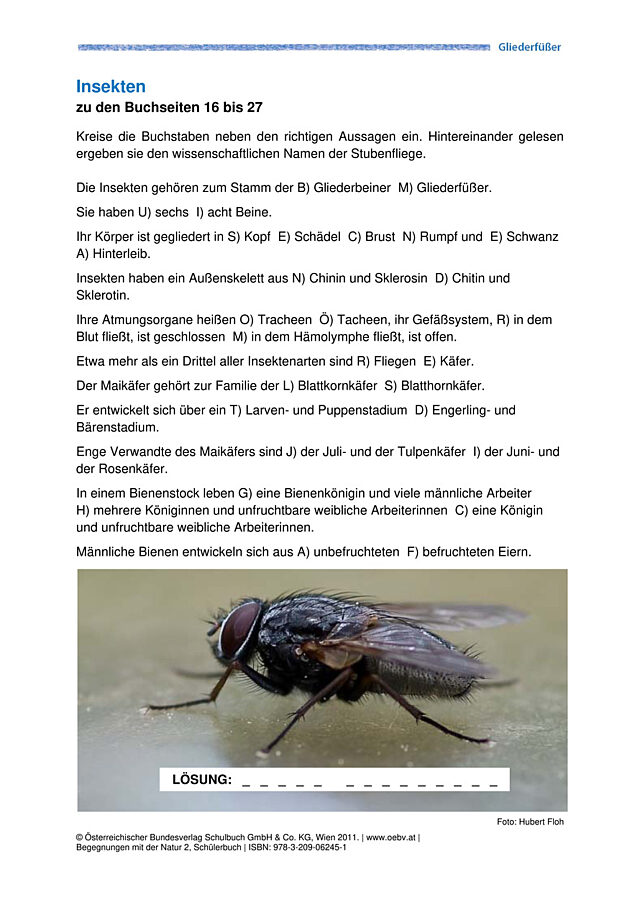 Insekten