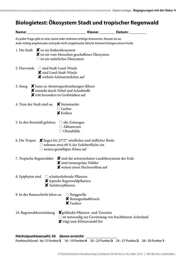 Ökosystem Stadt und tropischer Regenwald