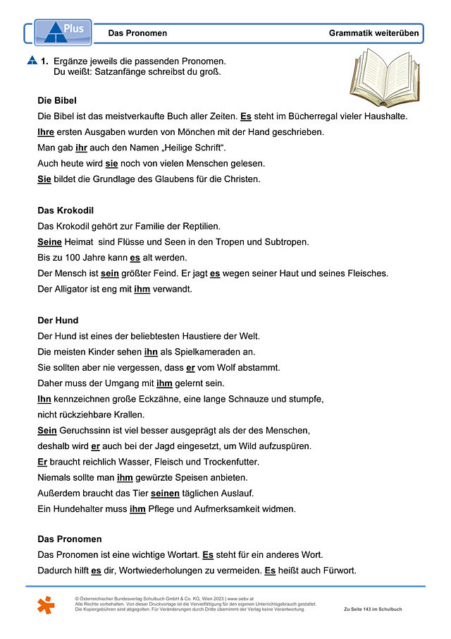 Das Pronomen