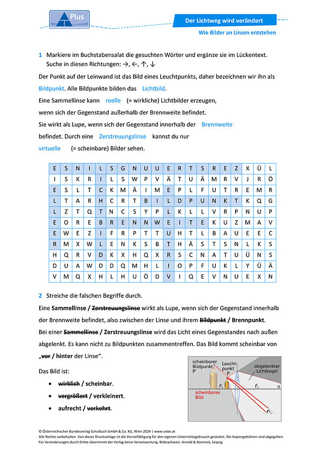 Bilder Linsen