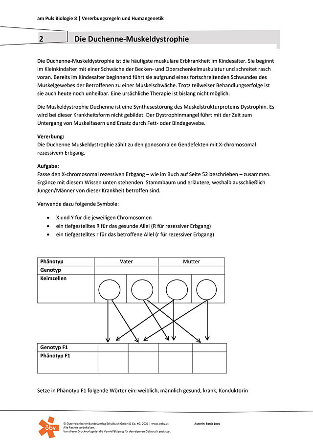 Die Duchenne-Muskeldystrophie