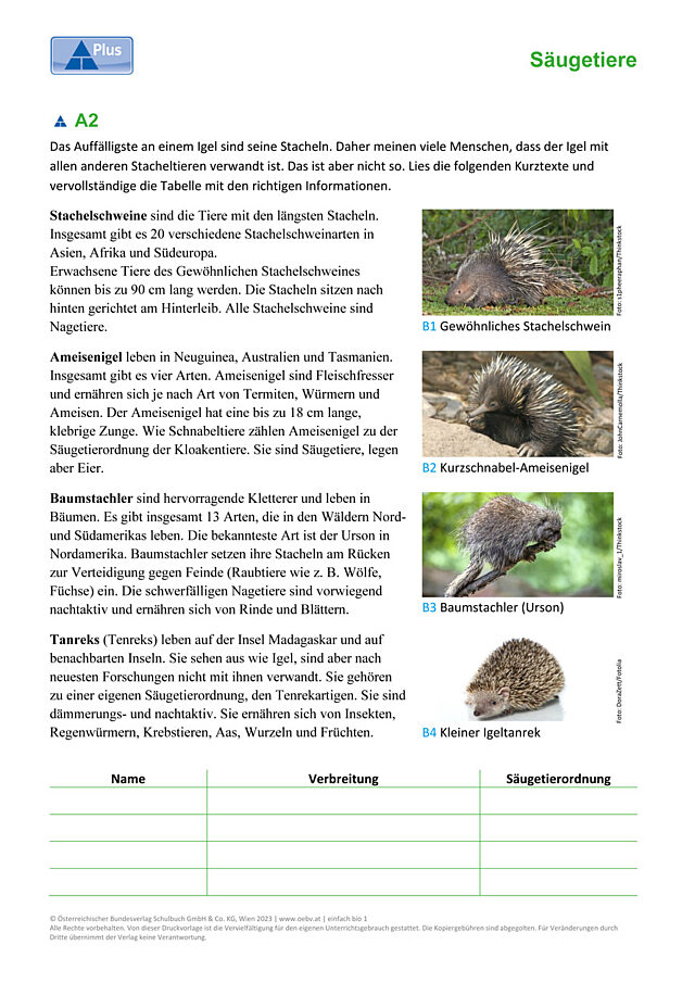 Igel