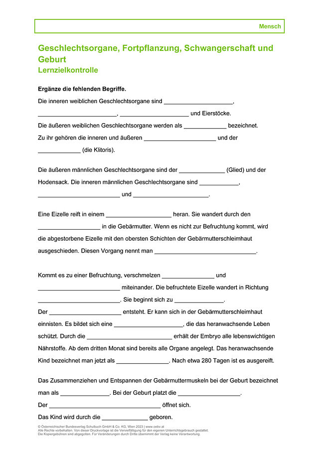 Geschlechtsorgane, Schwangerschaft