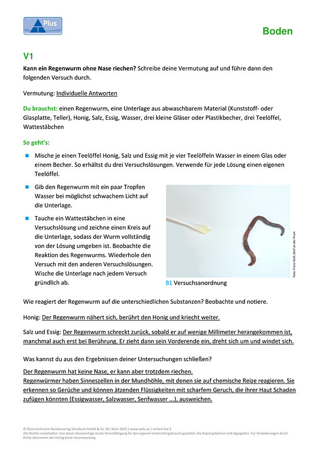 Der Regenwurm