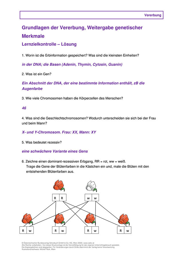 Grundlage, Weitergabe