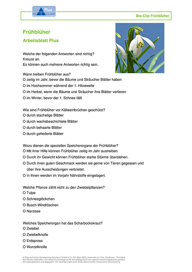 Frühblüher