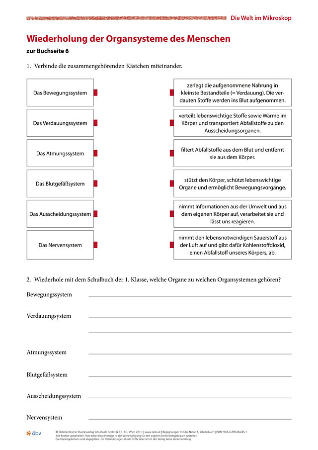Wiederholung der Organsysteme des Menschen