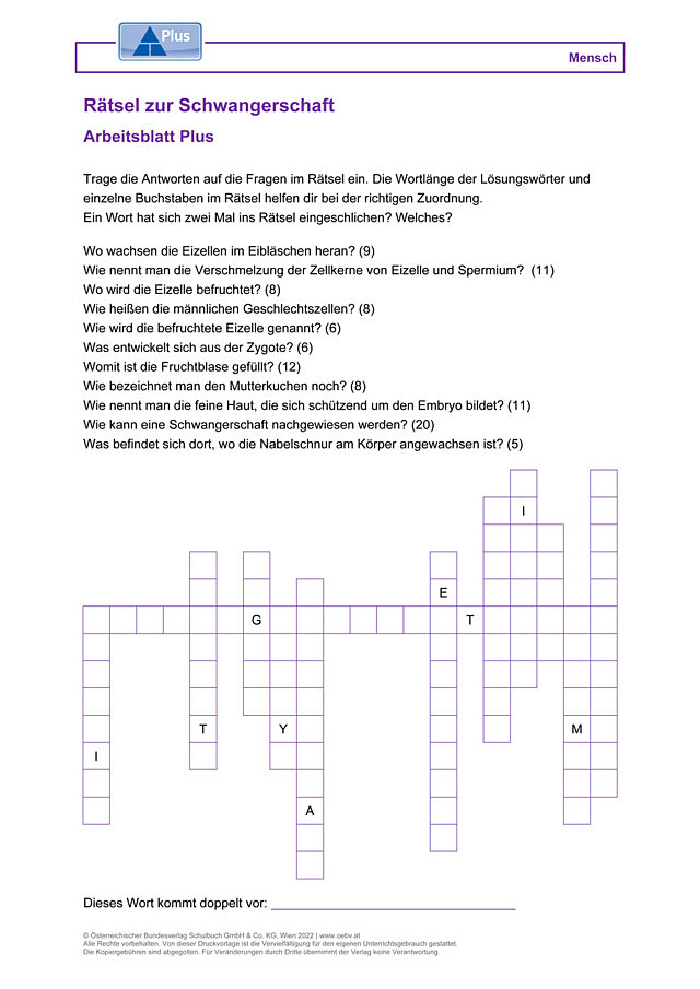Rätsel zur Schwangerschaft