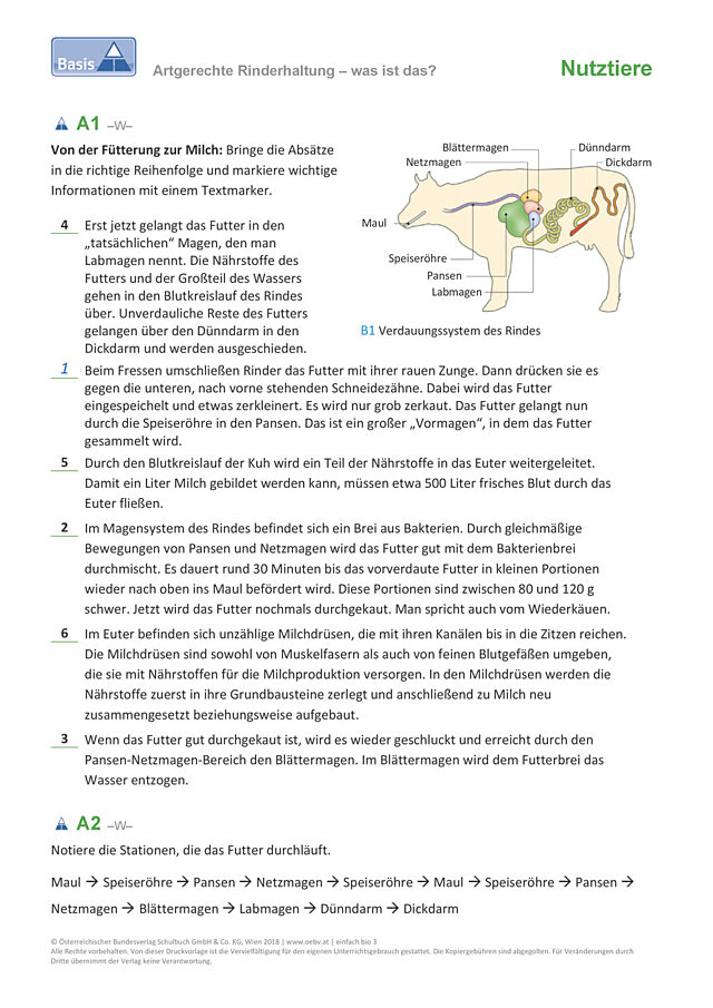 Rinderhaltung