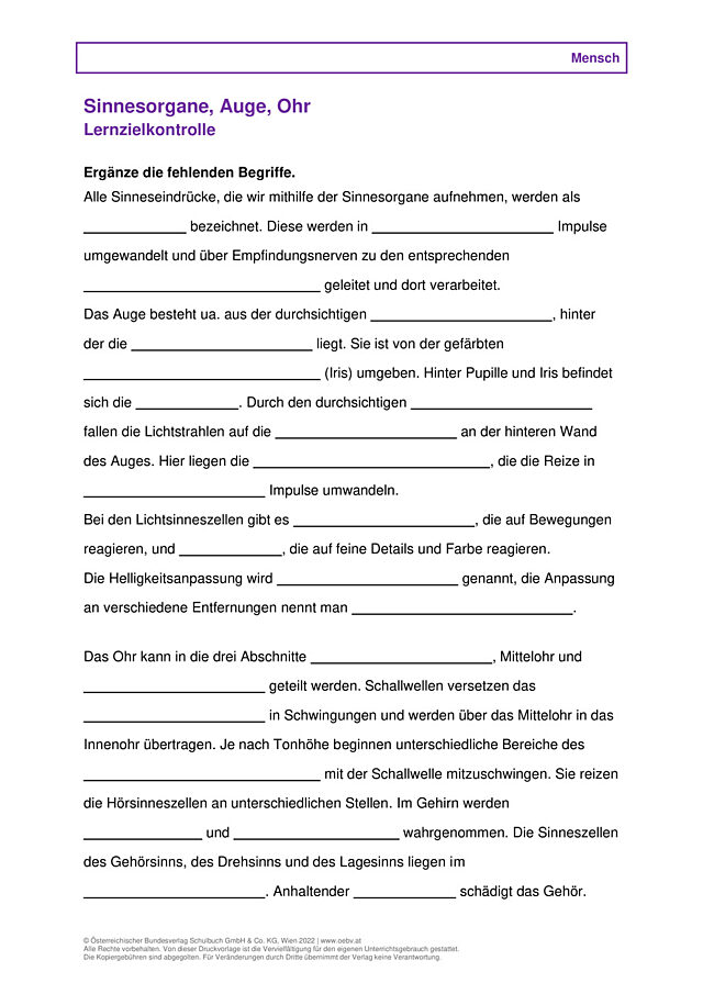 Sinnesorgane, Auge, Ohr